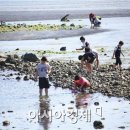 명사체험마을 이미지
