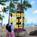 하와이언캠프 | 🏝️하와이 와이키키 비치 : 상상 속 그 하와이 그대로
