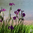 은파호수공원 9-9 이미지