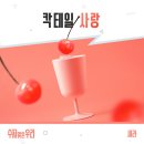 새라 스포츠경향