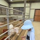 반디랜드 곤충박물관 전시실 이미지