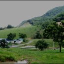 종주농장 이미지