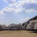 내산초등학교 이미지