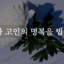 쉼앤울림