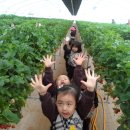 김천유치원 이미지