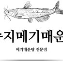 송지메기매운탕 네이버블로그