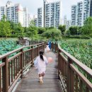 연의공원북카페 이미지