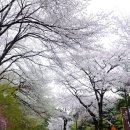 김광수치과의원 이미지