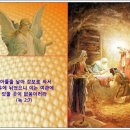 찬송가 / 114장, 그 어린 주 예수 이미지