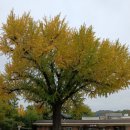 다온공인행정사 이미지