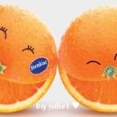 1277 이미지