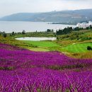 밸리당구장 이미지