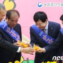 안강농업협동조합하나로마트