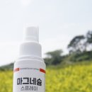 회사원에게 꼭 필요한 운동전후 필수템! 코코팜 마그네슘스프레이 100ml 사용 후기