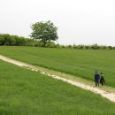 태신목장 이미지