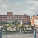 파로호로 935-9 이미지