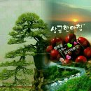 (주)행복 이미지