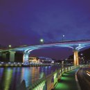 통영터널로가로수 이미지