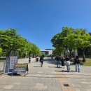 [서울] 처음 방문한 국립중앙박물관 솔직 후기 | 반가사유상·대동여지도·남산뷰까지