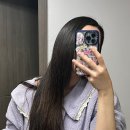 돌콩헤어 이미지