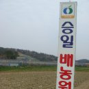 승일농장 이미지