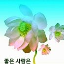행운 이미지