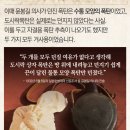 도시락폭탄 이미지