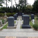 평생 한국에 헌신한 美 선교사 부인, 남로당 학생들 총탄에… 이미지