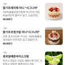 산타와 미니 | 성수 케이크 맛집 딸기 홀케이크 아쿠아산타 성수카페 딸기프레지에미니