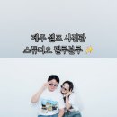 스튜디오필로