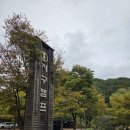 무릉도원면-51 이미지