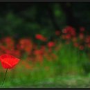 내안에너 이미지