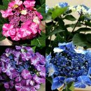 용해농장 이미지