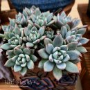 여미하우스 이미지