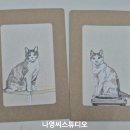 나영마켓 - 고양시 덕양구 충경로 44 | 나영마켓