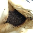 핸드드립커피 | 페루 원두 핸드드립커피 후기, 집에서도 카페처럼 향긋한 드립백커피 즐기기