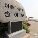 송이도