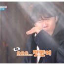 차우마 이미지