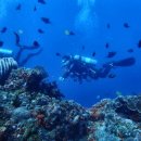 스쿠버월드 이미지