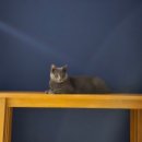 생활목공 기초 이미지