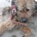 토평남로 이미지