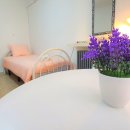 까사보니따 이미지