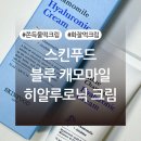 ㈜에스에스에이푸드 | 스킨푸드 블루 캐모마일 히알루로닉 크림 내돈내산 후기