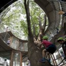 느티나무유치원 이미지