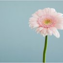 소중한순간 이미지