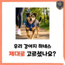 덕소로71번길 20-7 네이버블로그