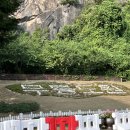 철원가산농원캠핑장 | 강원도 바다캠핑장 대신 계곡 오토캠핑장 추천 (철원가산농원캠핑장, 산골캠핑장)
