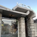 멀씨(Mercy) 이미지