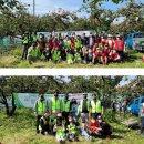 한국장애인봉사협회 | 영남장애인협회와 한국다문화재단, 농가 일손 돕기 ‘대민봉사활동’ 펼쳐