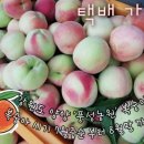 용천농원 이미지